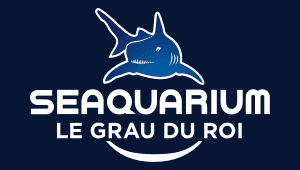 Para Vention – partenaire Randojet